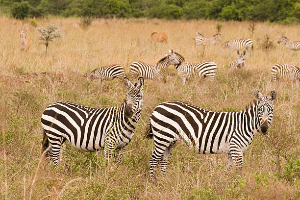 Arusha National Park
